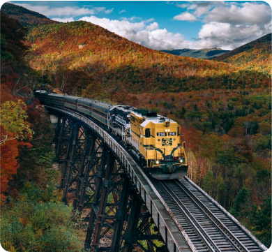 Train Or Bus Journey? Which one suits?